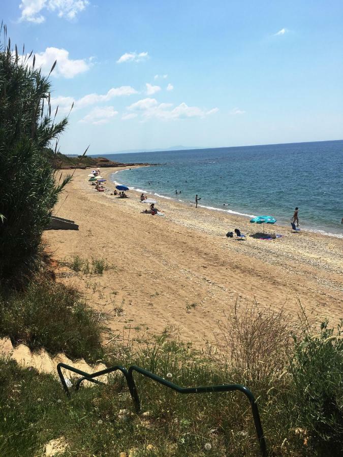 Estate Irene Villa Alexandroupolis Exteriör bild