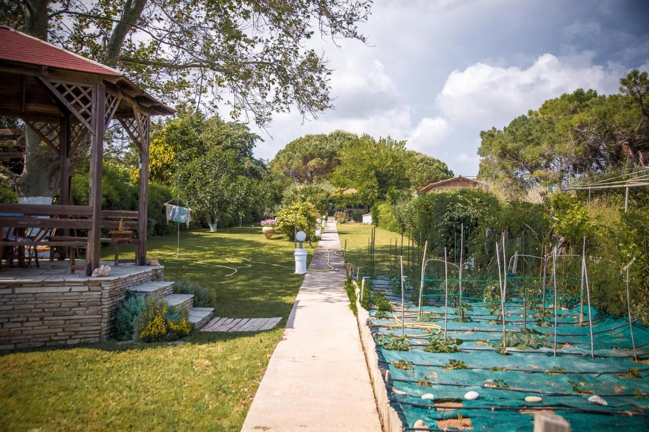 Estate Irene Villa Alexandroupolis Exteriör bild