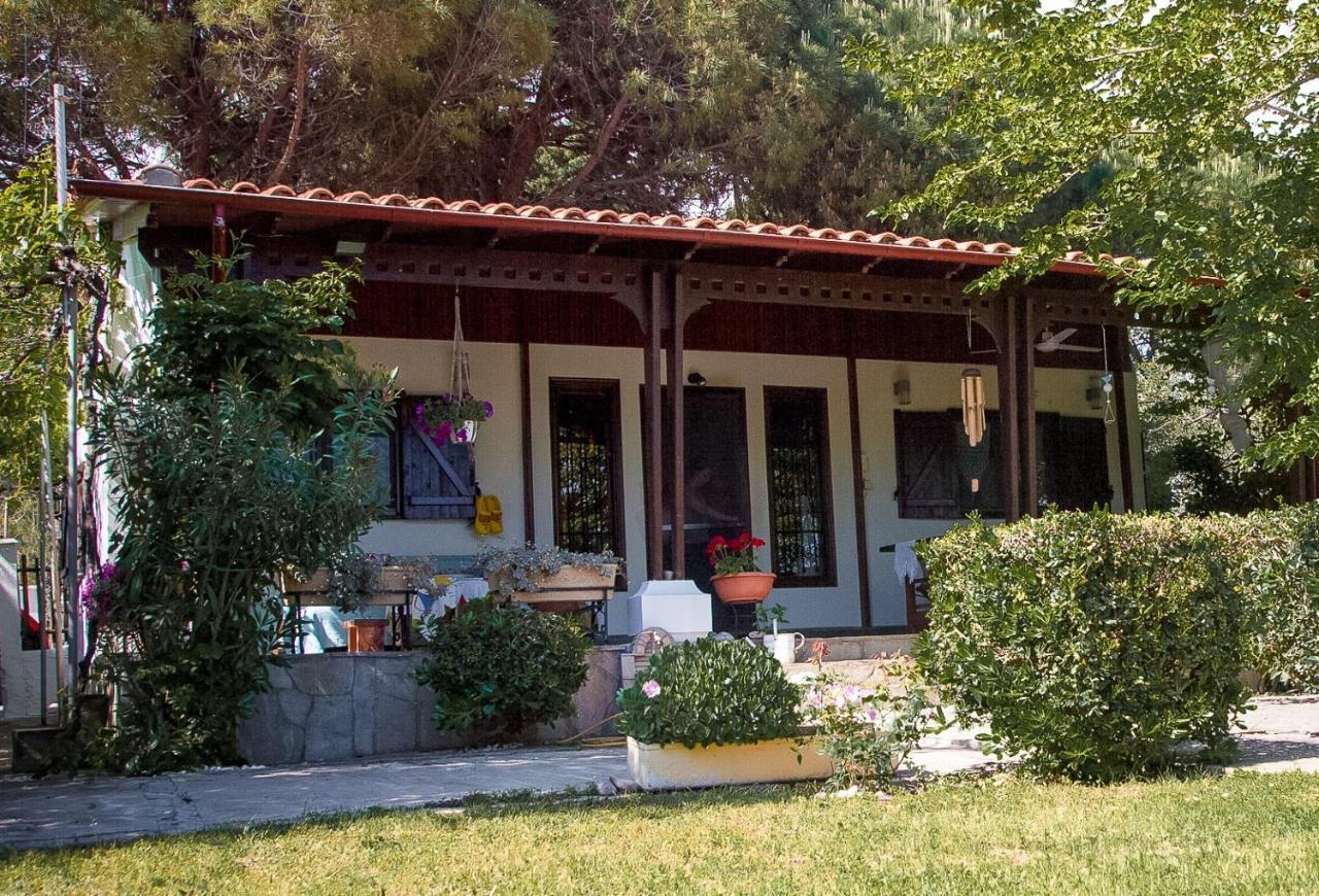 Estate Irene Villa Alexandroupolis Exteriör bild