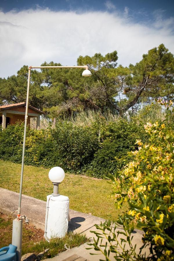 Estate Irene Villa Alexandroupolis Exteriör bild